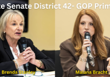 Sen. Brenda Stanley (Left) and Malan Bracht at a State Senate District 42 candidate forum. Photos by Jay Wiggins